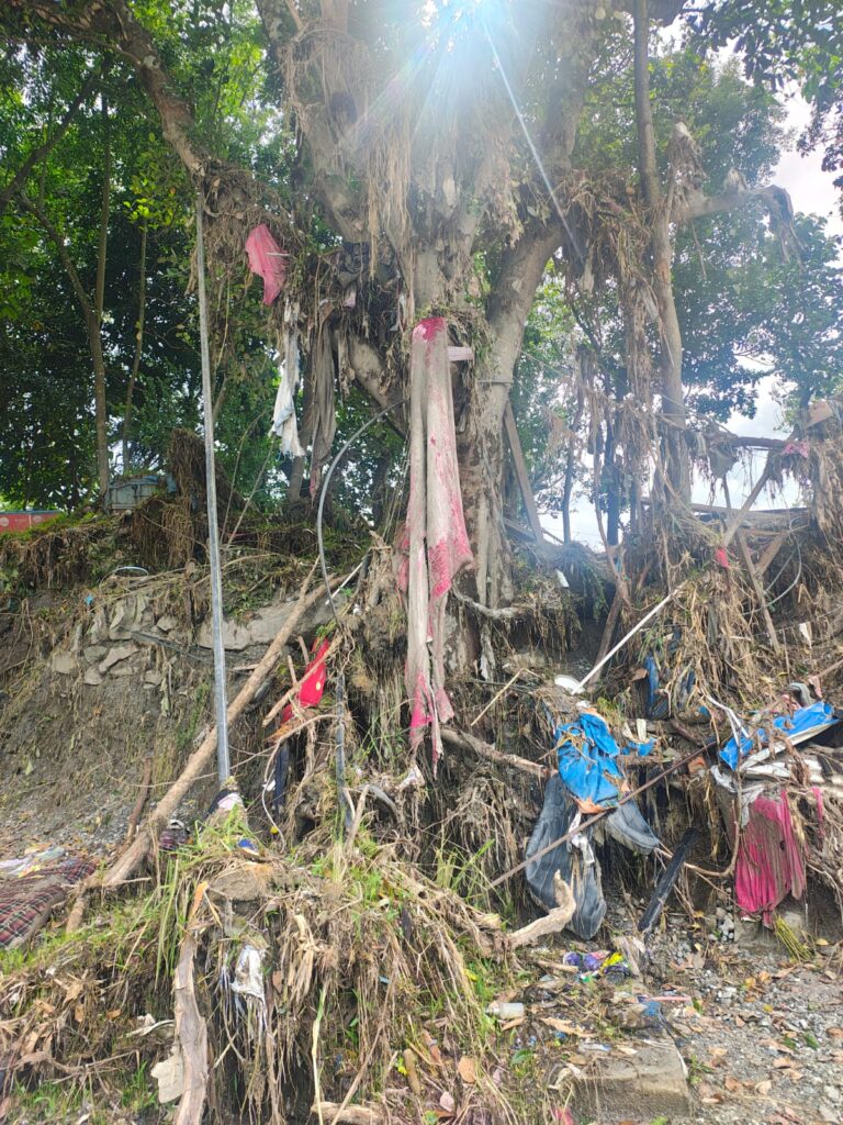 Debris and clothing tangled high in a tree and scattered across an eroded embankment after a flash flood